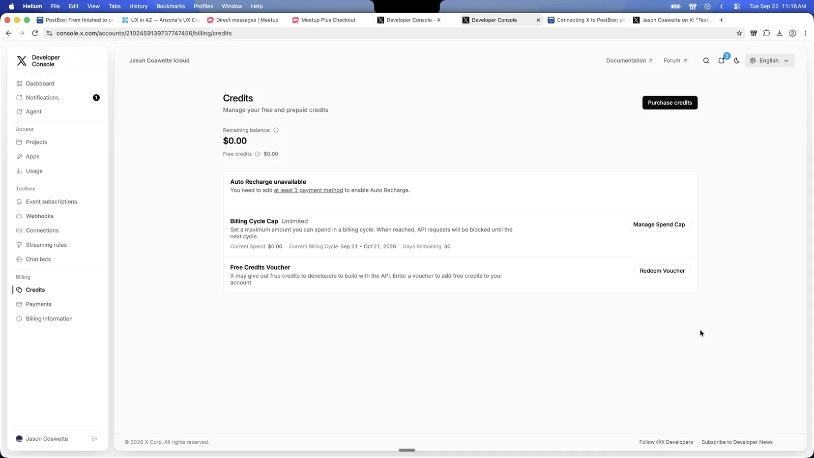 Billing → Credits, showing a zero balance, the Purchase credits button, and Auto Recharge unavailable until a payment method exists.